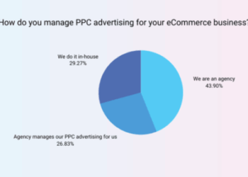 PPT - Strategies to follow for eCommerce PPC Management Campaigns ...