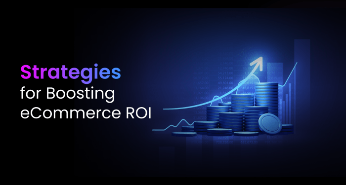 5 Strategies to Boosting E-Commerce ROI