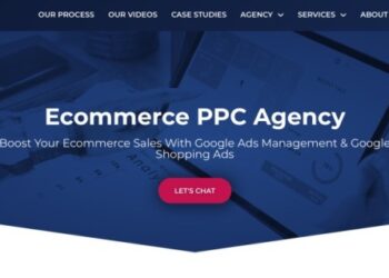 Top 10 Ecommerce PPC Agencies in the World 2024