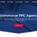 Top 10 Ecommerce PPC Agencies in the World 2024