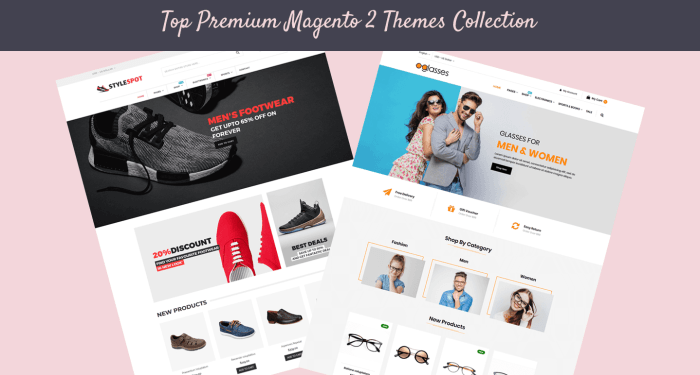 Top Premium Magento 2 Themes Collection For Different Categories